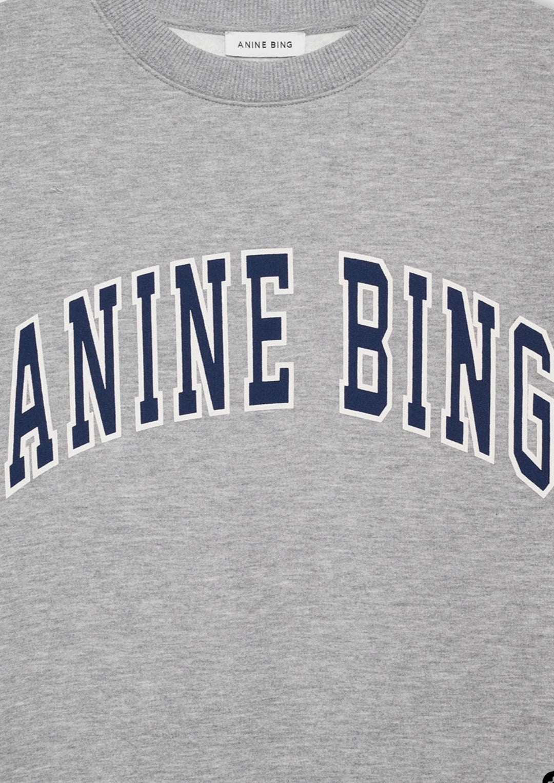 ANINE BING Spencer Sweatshirt