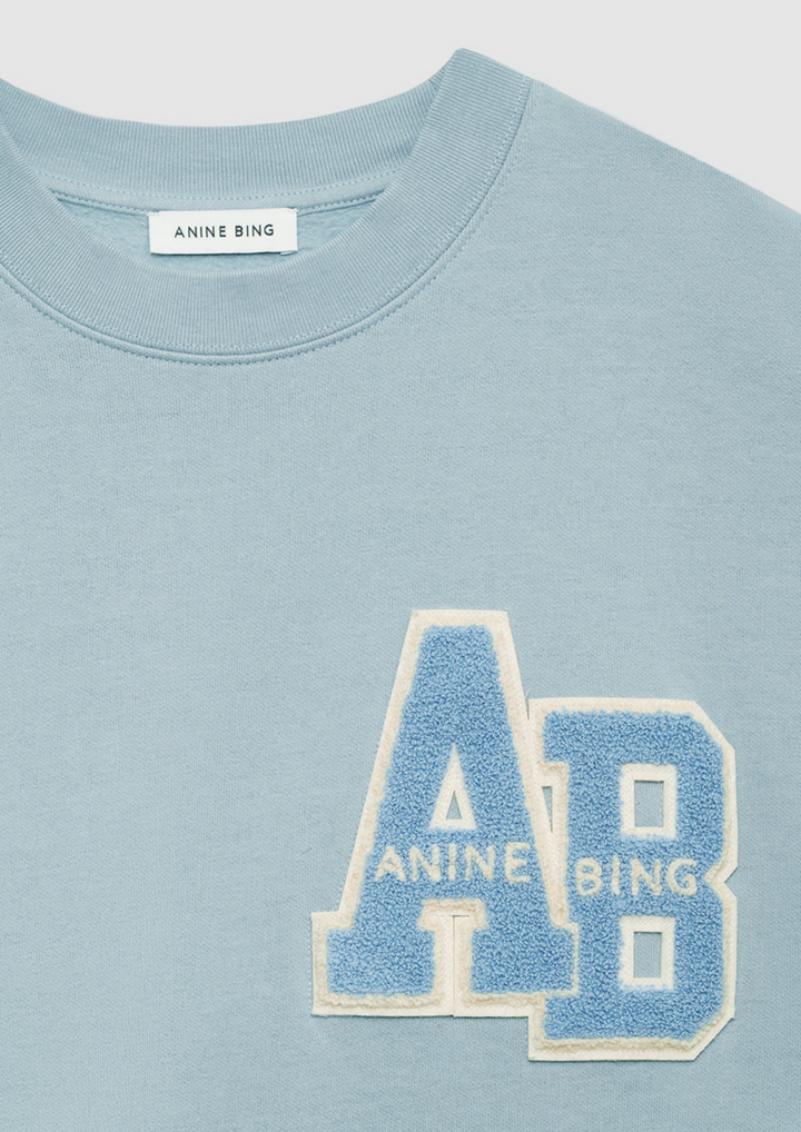 ANINE BING Miles oversized Sweatshirt