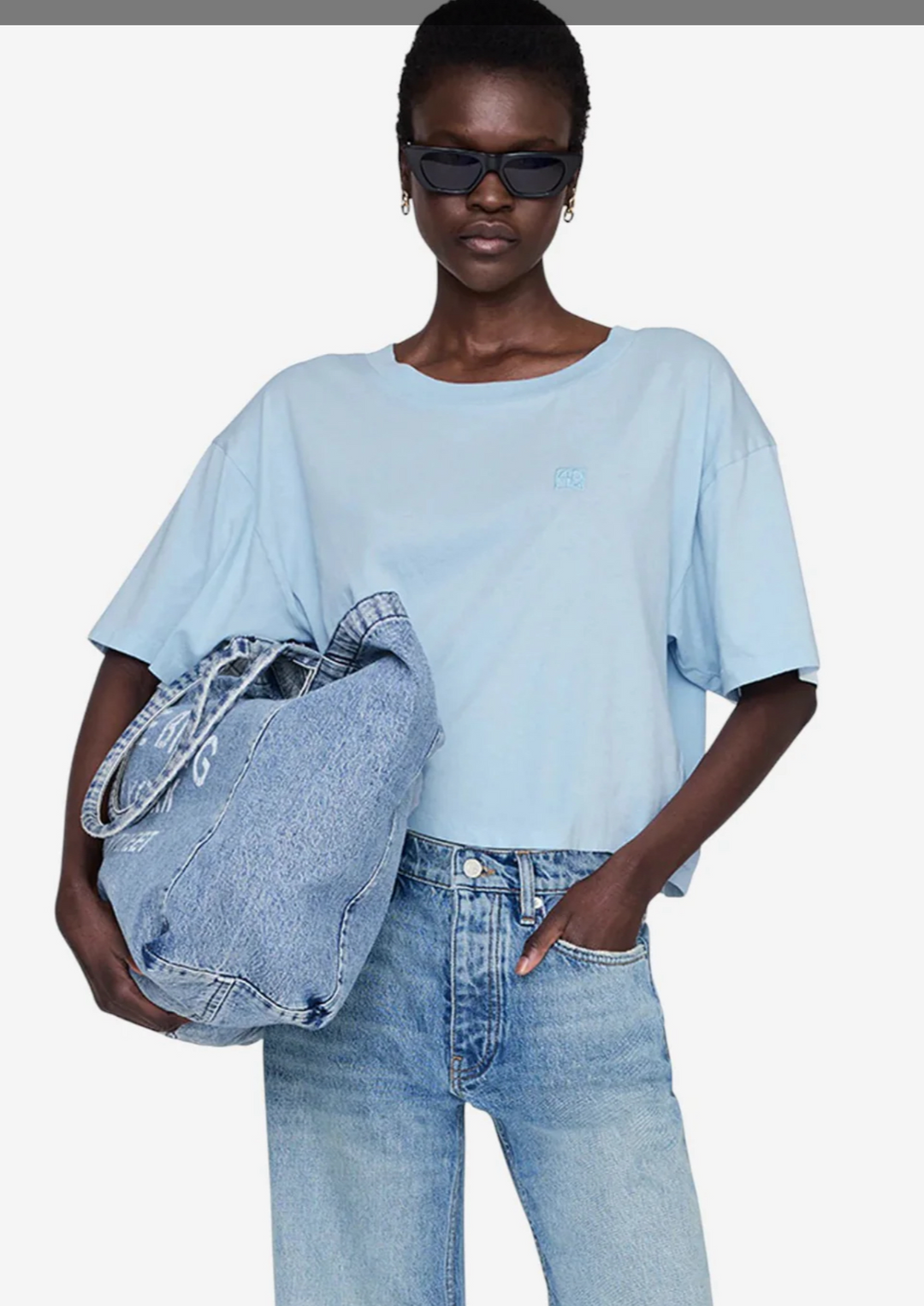 ANINE BING Johnny Cropped Tee Framed Monogram