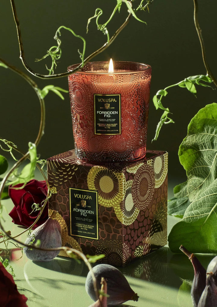 VOLUSPA Classic Candle Forbidden Fig