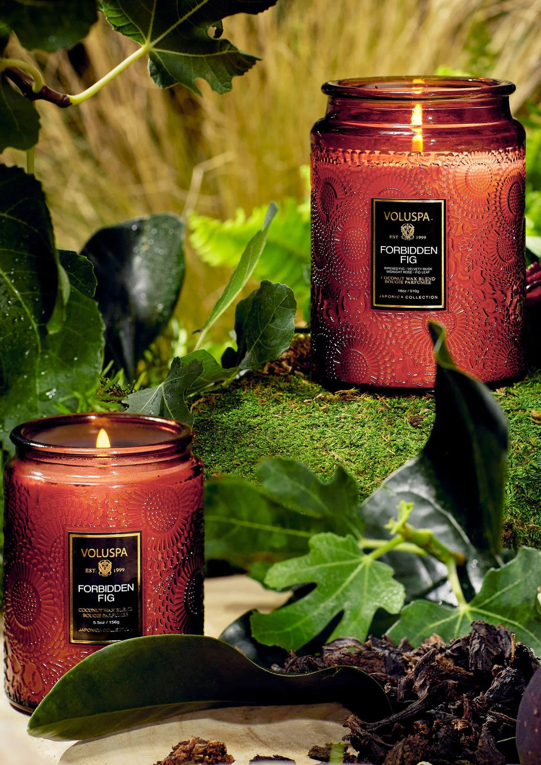 VOLUSPA Small Jar Candle Forbidden Fig